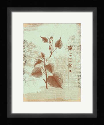 Framed Botanical I Print
