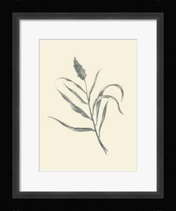Framed Guinea Corn Print