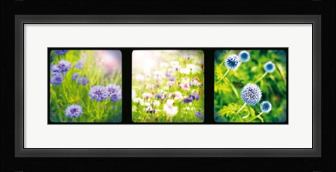 Framed Vintage Capture II Print