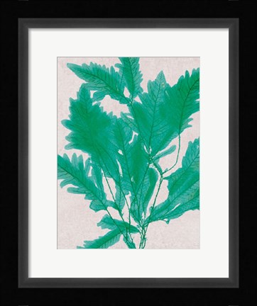 Framed Emerald Sea III Print