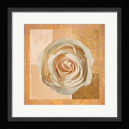 Framed Warm Rose I Print