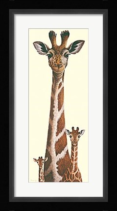 Framed Highs And Lows Print