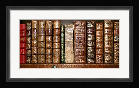 Framed Biblioteca I Print