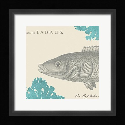 Framed Sea and Shore III Print