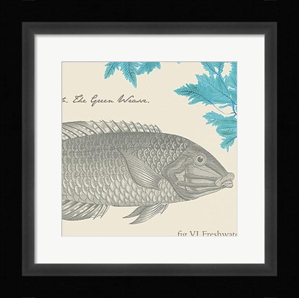 Framed Sea and Shore IV Print