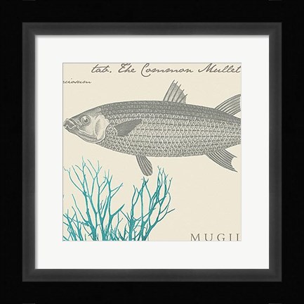 Framed Sea and Shore V Print