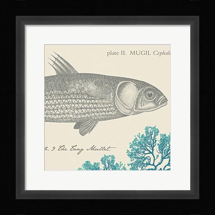 Framed Sea and Shore VI Print