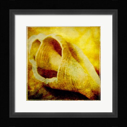 Framed At the Seashore III Print