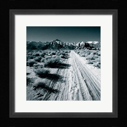 Framed Lone Pine V Print