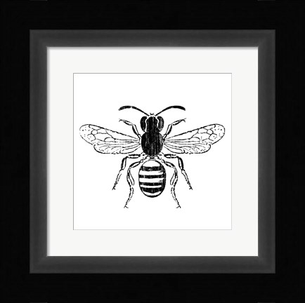 Framed Bee Print