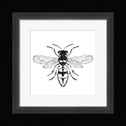 Framed Wasp Print