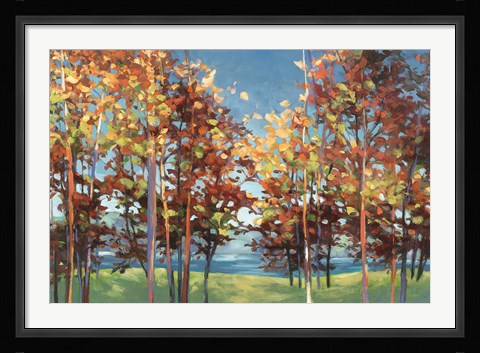 Framed Kaleidoscope Print