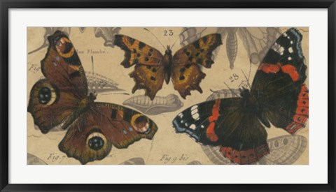 Framed Bold Butterfly Panel I Print
