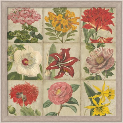 Framed Vintage Flower Grid Print
