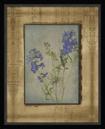 Framed Photographic Floral Collage II Print