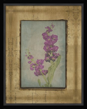 Framed Photographic Floral Collage III Print
