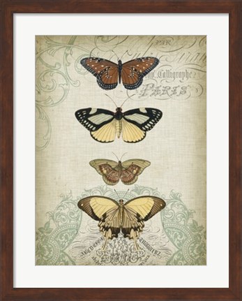 Framed Cartouche &amp; Butterflies I Print