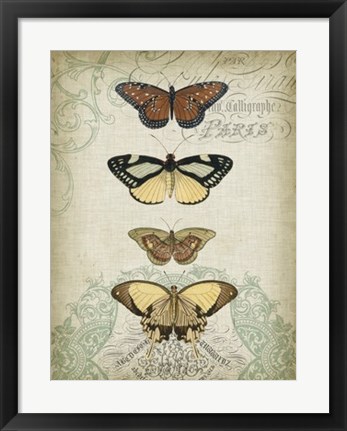 Framed Cartouche &amp; Butterflies I Print