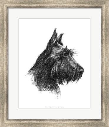 Framed Canine Study II Print