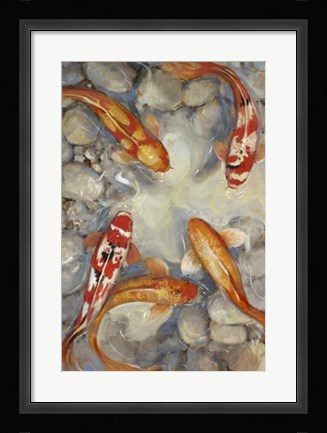Framed Vibrant Koi I Print