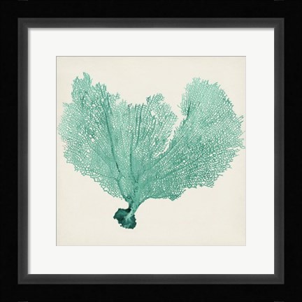 Framed Sea Fan VI Print
