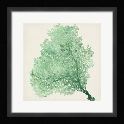 Framed Sea Fan VII Print