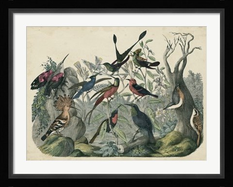 Framed Habitat for Birds Print