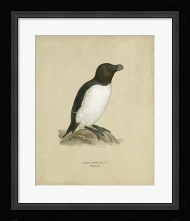 Framed Antique Penguin I Print