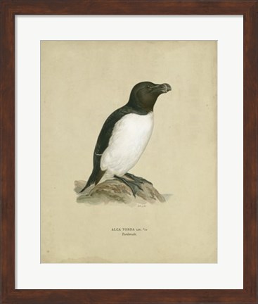 Framed Antique Penguin I Print