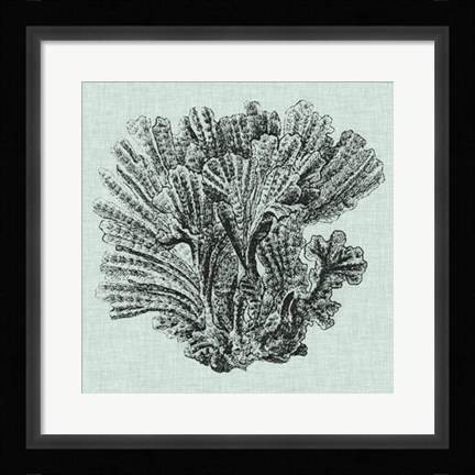 Framed Serene Coral I Print