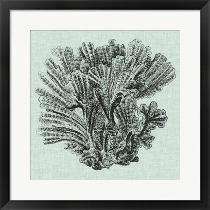 Framed Serene Coral I Print