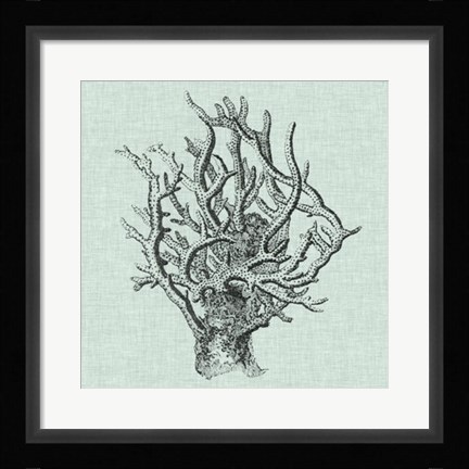 Framed Serene Coral II Print
