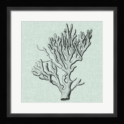 Framed Serene Coral III Print