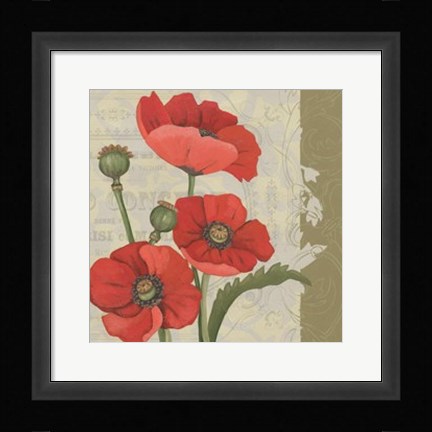 Framed Paris Poppy II Print