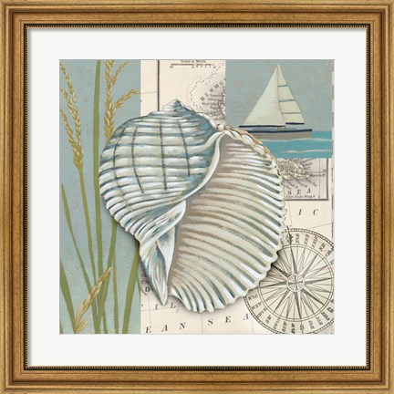 Framed Seaside Shell I Print