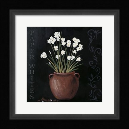 Framed Paper Whites Print