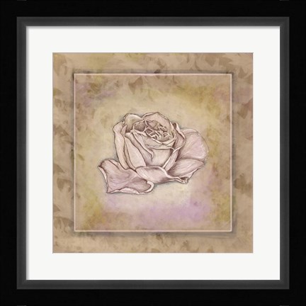 Framed Rose Square III Print