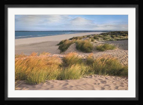Framed Sandy Shores Print
