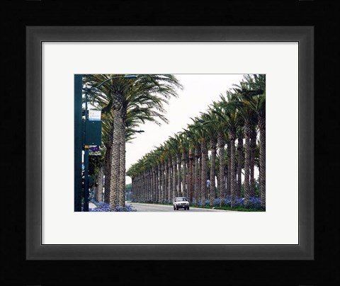 Framed Anaheim, CA Print