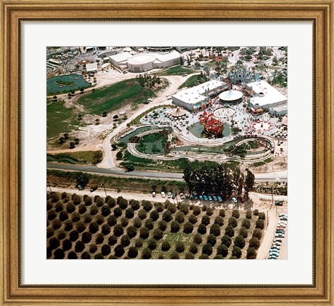 Framed Disneyland and Orange Groves, 1955 Print