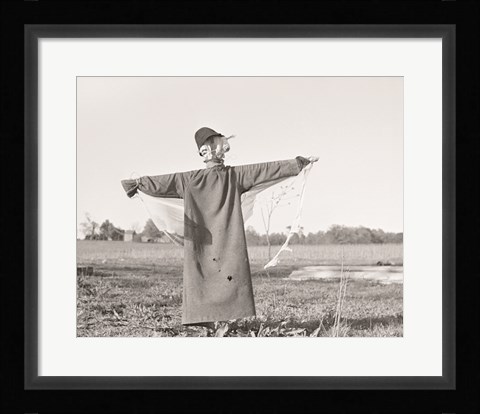 Framed Scarecrow, North Carolina Print