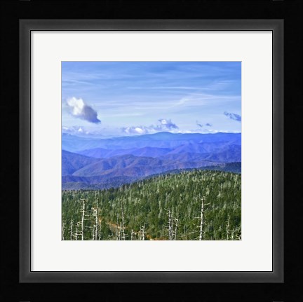 Framed Great Smoky Mountains Print