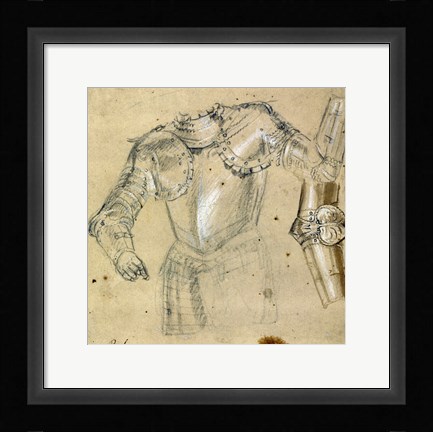 Framed Studies of Armor Print