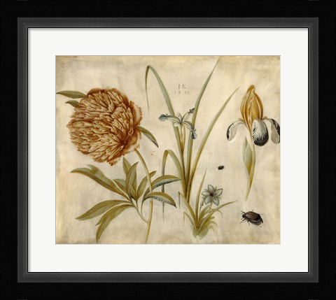 Framed Flowers and Beetles Print