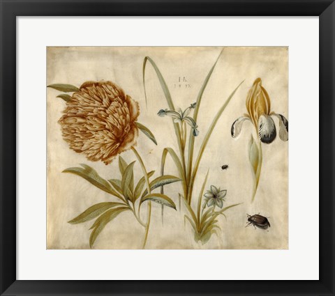 Framed Flowers and Beetles Print