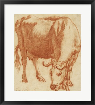 Framed Cow Grazing Print