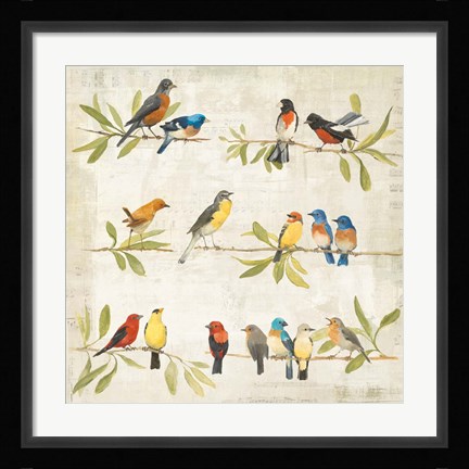 Framed Adoration of the Magpie Music Print