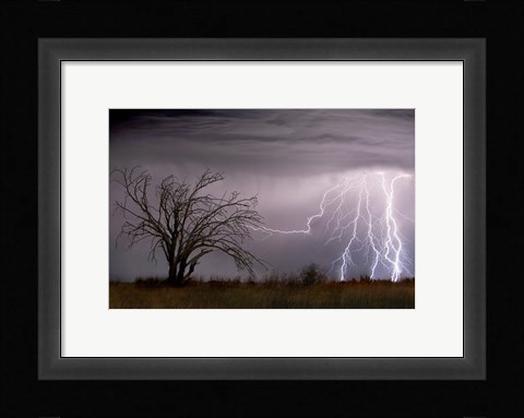 Framed Lightning Print
