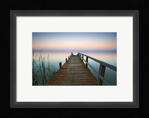 Framed Lake Kangaroo Print