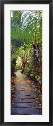 Framed Maits Rest Print